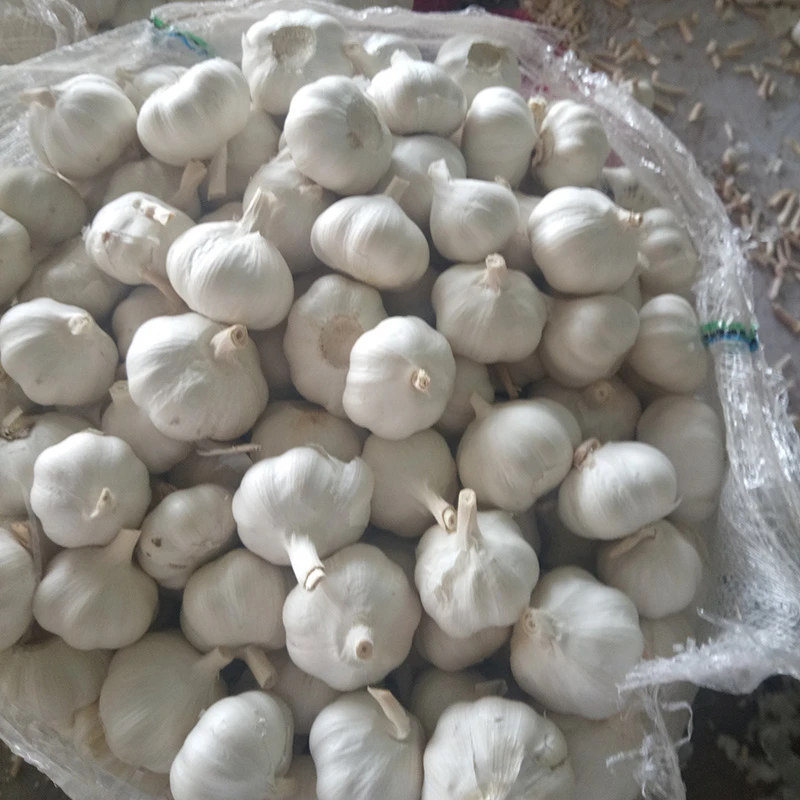 Premijum rastresiti beli luk